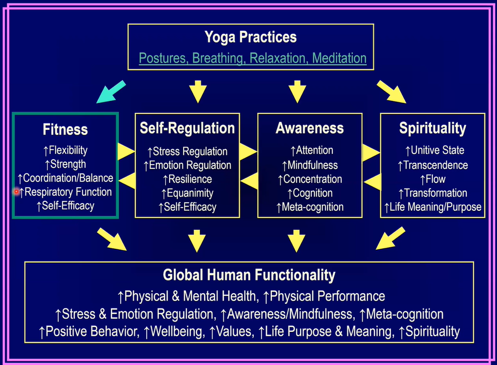 yoga meditation neuroscience